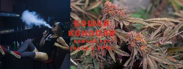 стафф Аркадак