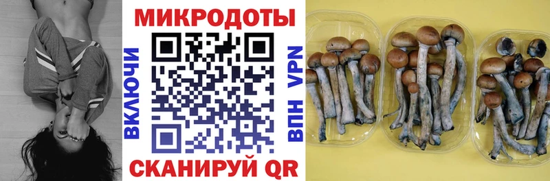наркотики  KRAKEN онион  Галлюциногенные грибы Psilocybine cubensis  Нефтегорск 